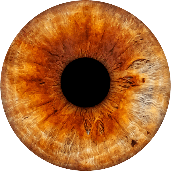 spiraldot health close up of human eye, pupil surrounded by amber iris